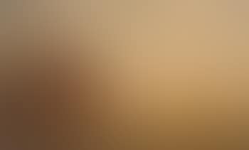 Warrandyte landscape (preview)