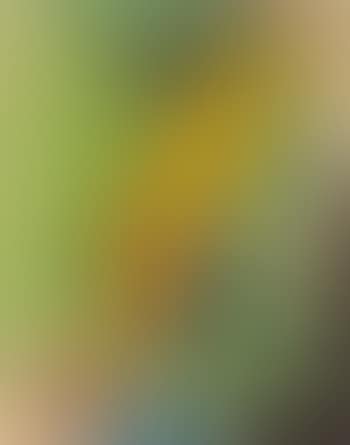 Abstraction in bright colours (preview)