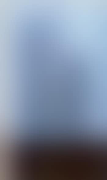 American New York blue (preview)