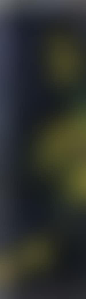 Profile (preview)