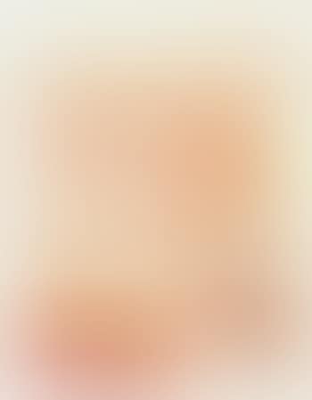 Interieur aux tentures roses (preview)