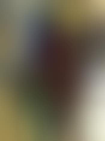 Untitled (preview)