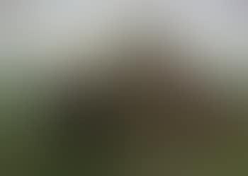 Hay harvesters (preview)