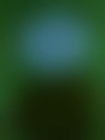Green mood (preview)