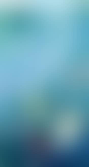 Sanran (preview)