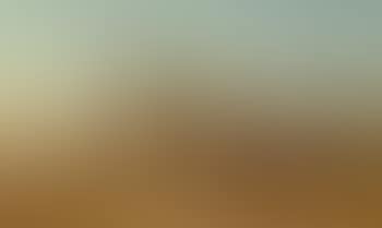 Resting in the desert (preview)