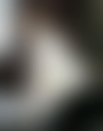 La blanchisseuse (preview)