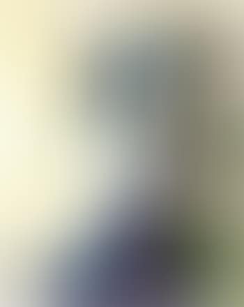 Sylvette au fauteuil vert (preview)