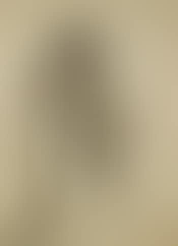 Female nude (preview)