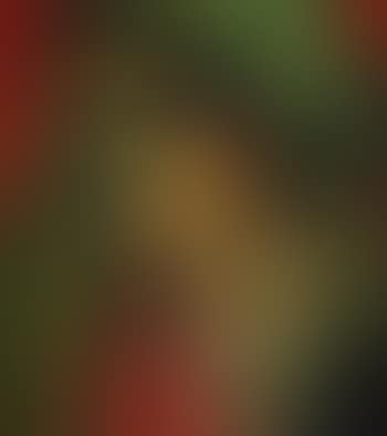 Sicilian woman with green shawl (preview)
