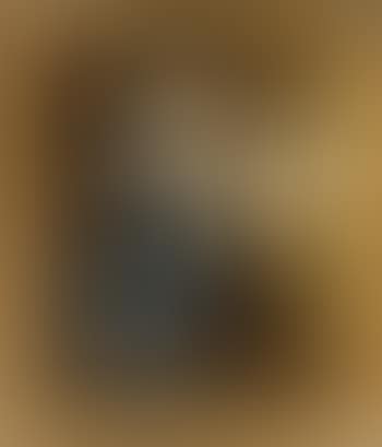 Portrait of a gentleman William Whitmore, Esq (preview)