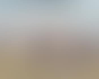 Horses (preview)