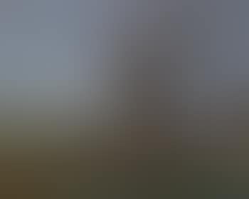 La Seine (preview)
