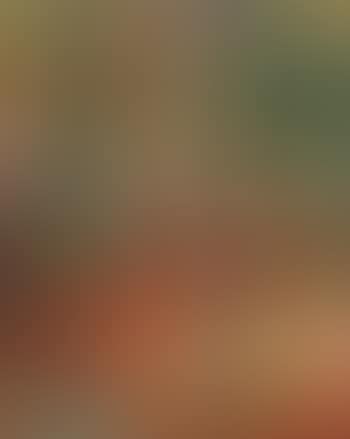 Arbres en automne (preview)