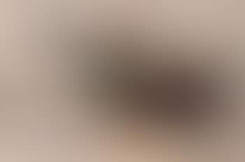 Barcelone (preview)