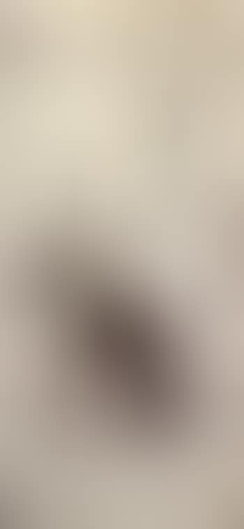 Auto-portrait (preview)