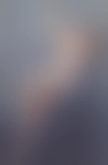 Nude on a ladder (preview)
