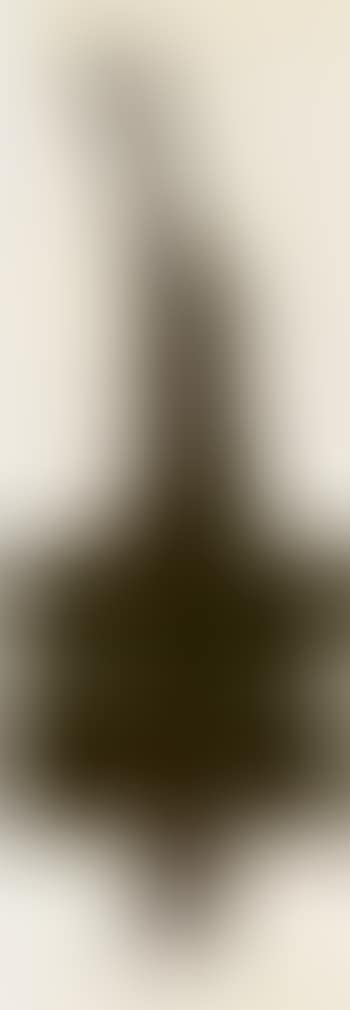 Abstract (preview)
