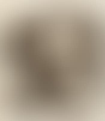 Abstract (preview)