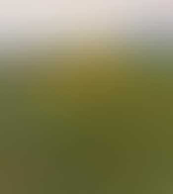 View of Malibu no.1 (preview)