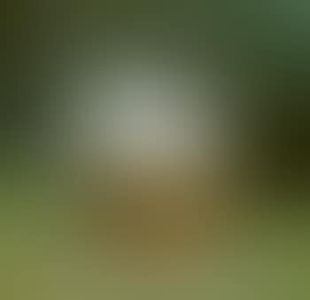 Sphere (preview)