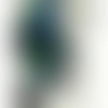Landscape with splashed colour (preview)