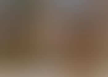 Tuscan wall, Fiesole. Morning, Fiesole (preview)
