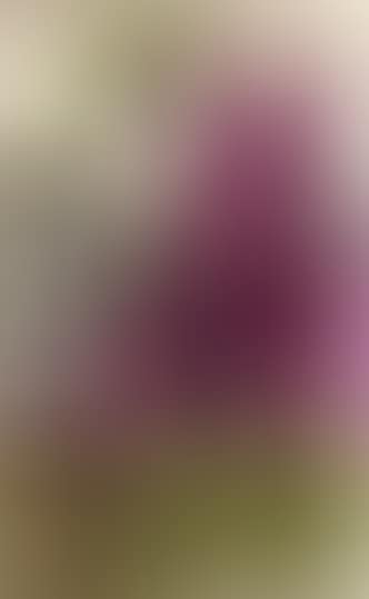 Townscape (preview)
