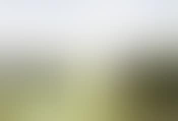 Curragh (preview)
