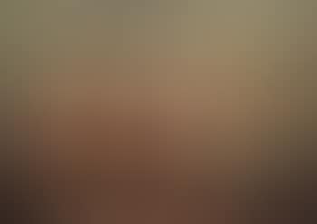 Portrait of a longhorn cow (preview)