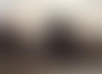 Landscape at sunset (preview)