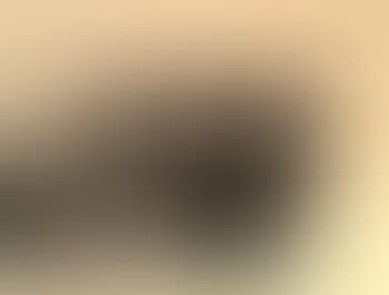 Abstract (preview)