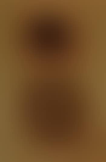 Abstract (preview)