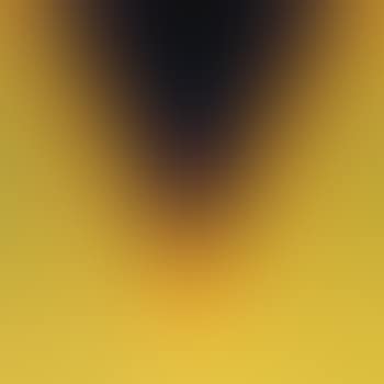Inner dark outer light (preview)