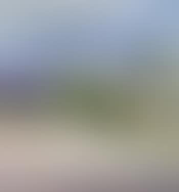Landscape (preview)
