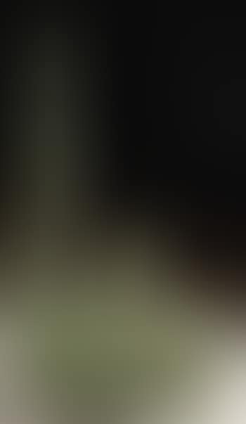 Green (preview)