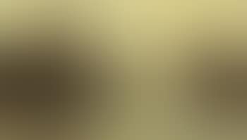 Polder landscape (preview)