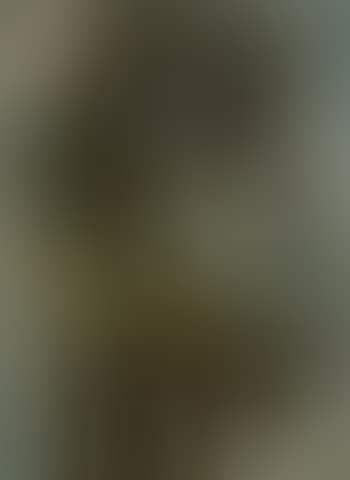 Black priest (preview)