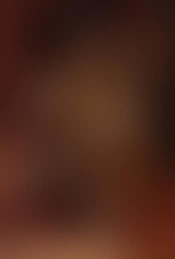 Portrait of Karl VI, Archduke of Austria (preview)