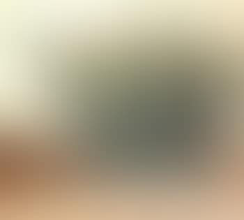 Narcissus (preview)