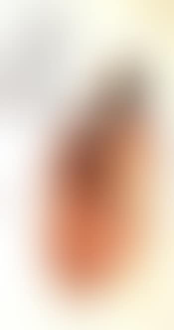 Bodhidharma (preview)