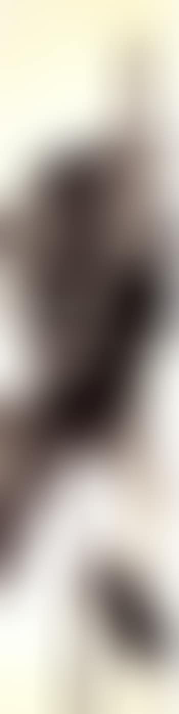 Plantain (preview)