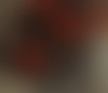 Red lotus (preview)