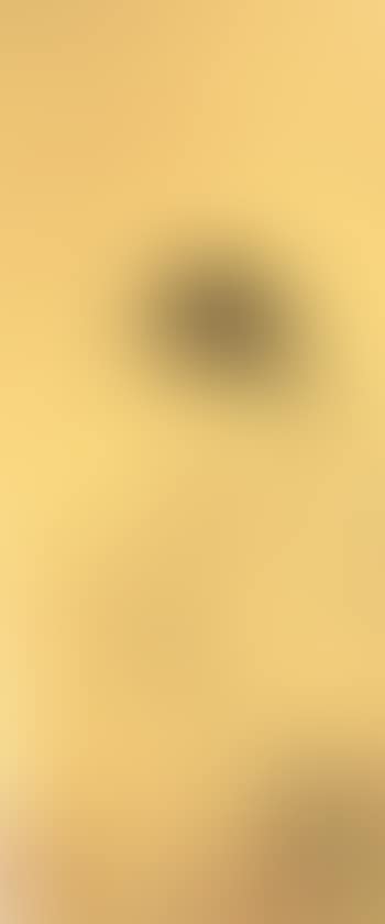 Pensive lady with a book (preview)