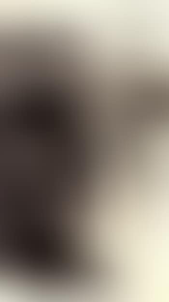 Landscape (preview)