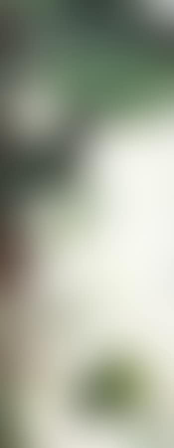 Tree (preview)