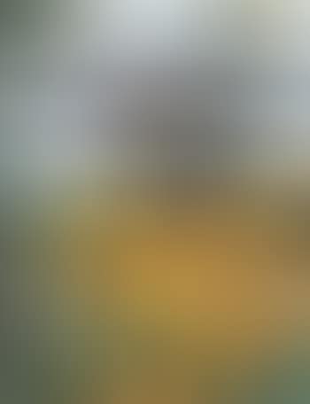 Sunflowers at Greenwich (preview)
