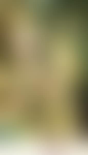 Mariee (preview)