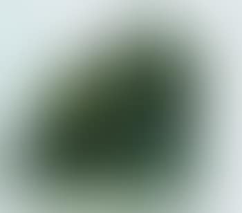 Metamorphoses d'Ovide (preview)
