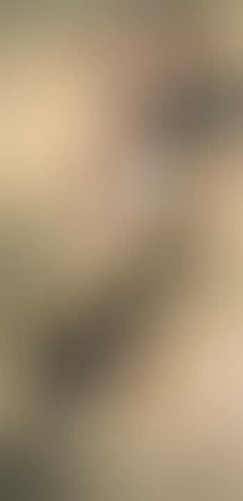 Carps (preview)